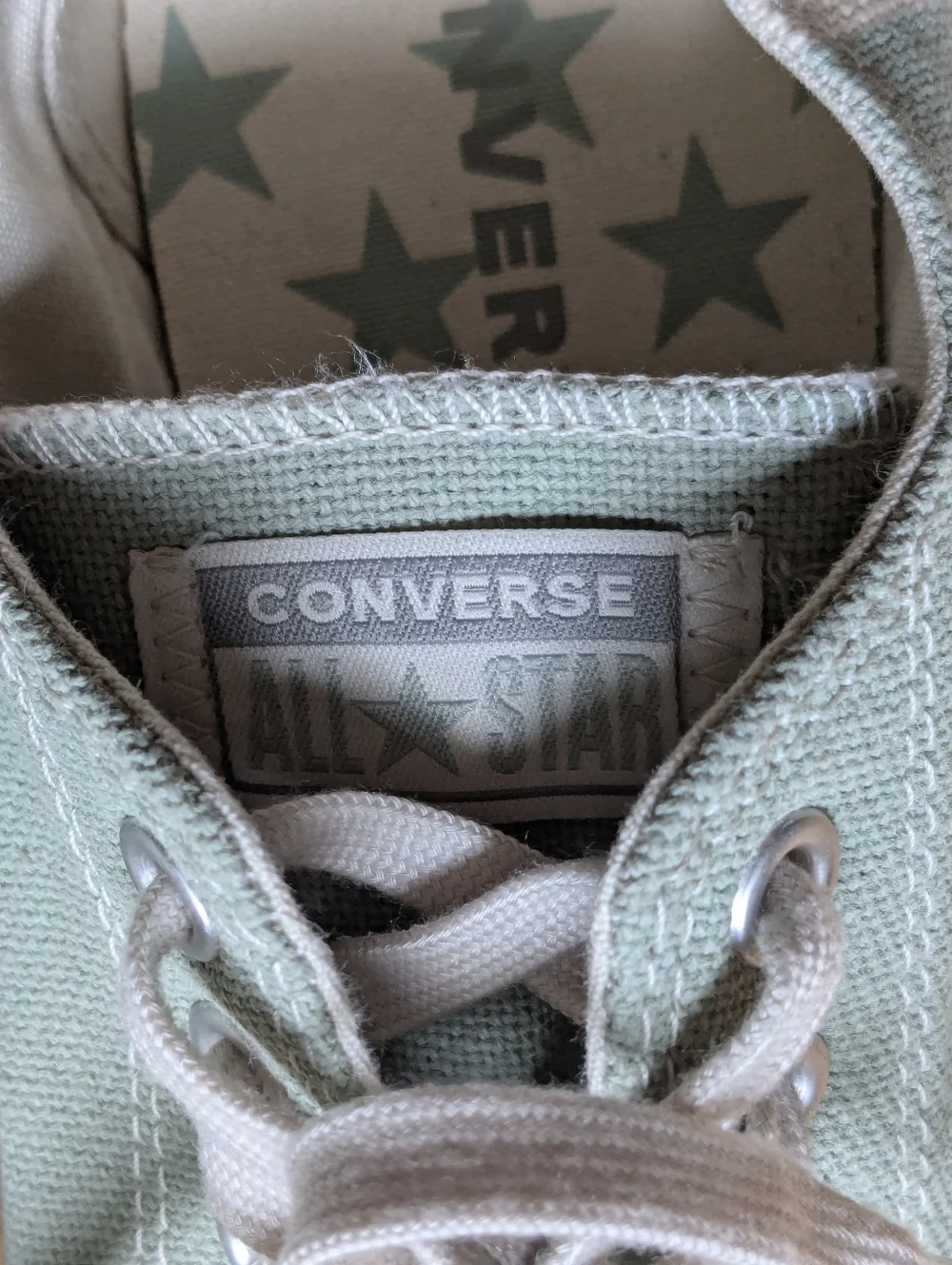 Converse Chuck Taylor All Star Low Light Green